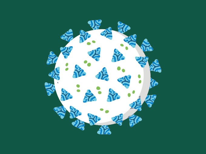 illustration of coronavirus